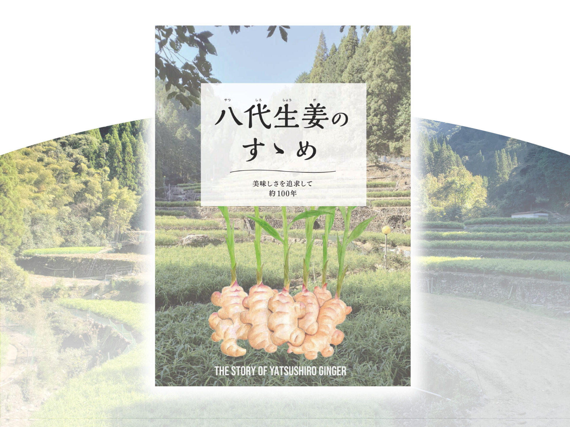 熊本県産八代生姜を味覚分析＆デザインしガストロノミーツーリズムを